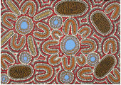 Native Seed Dreaming